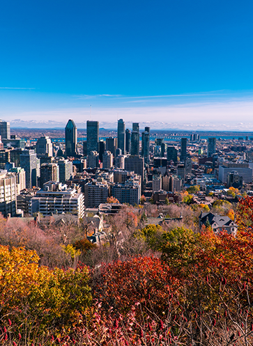 vue de Montréal depuis le Mont Royal