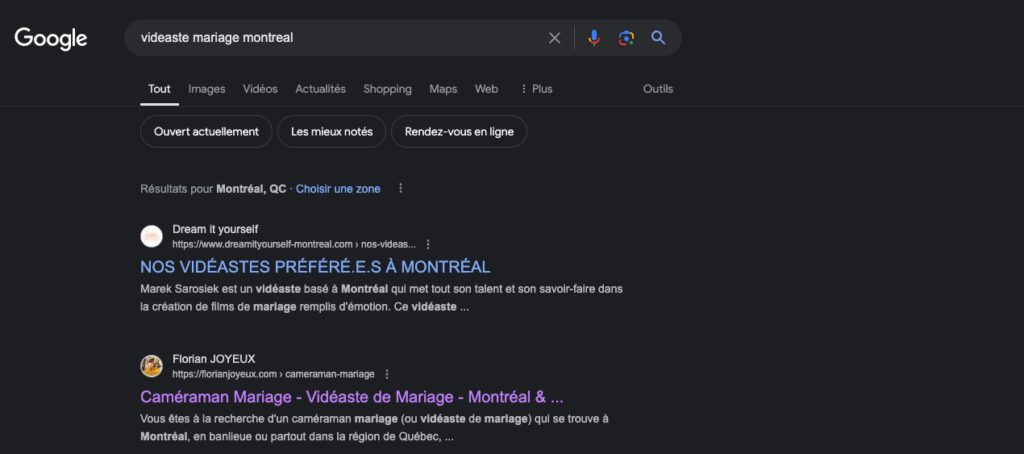 consultant seo Genève - SERP sur une requête locale